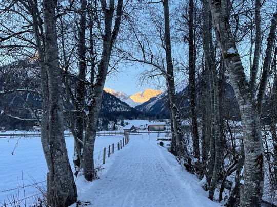 Hahnenköpfle: Ferienwohnung, Lodge und Hotel in Oberstdorf Verschneiter Weg zwischen Bäumen mit Bergen im Hintergrund bei Sonnenuntergang