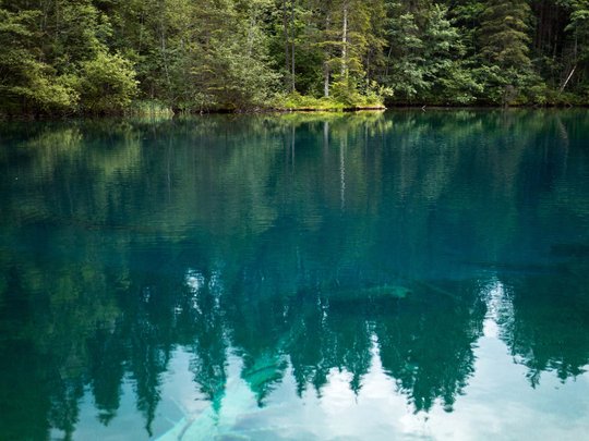 Hahnenköpfle: holiday apartment, lodge & hotel in Oberstdorf Clear water with submerged log and reflection of trees in the forest