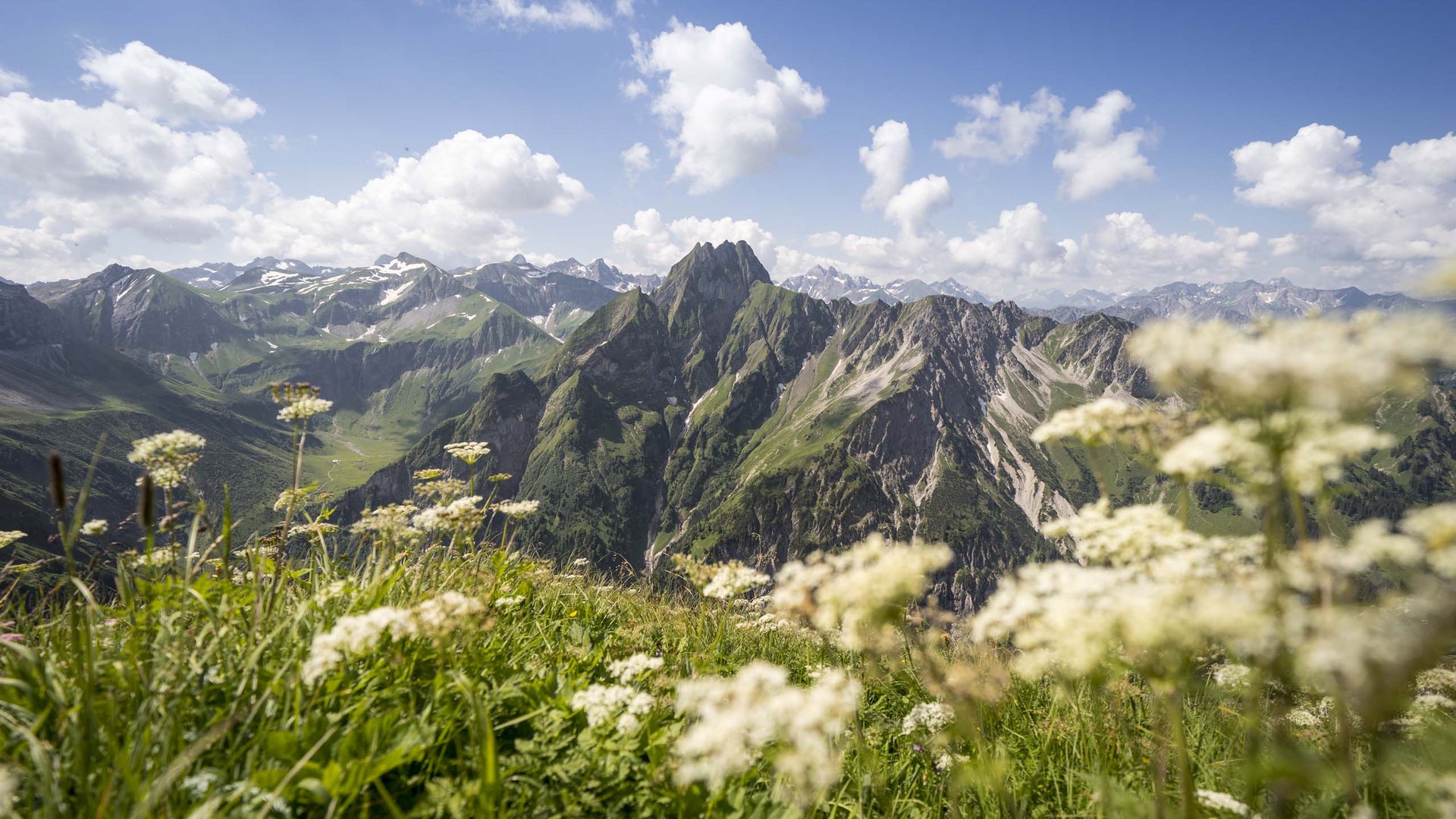 Hahnenköpfle: holiday apartment, lodge & hotel in Oberstdorf Mountain landscape with green meadows and wildflowers under a blue sky